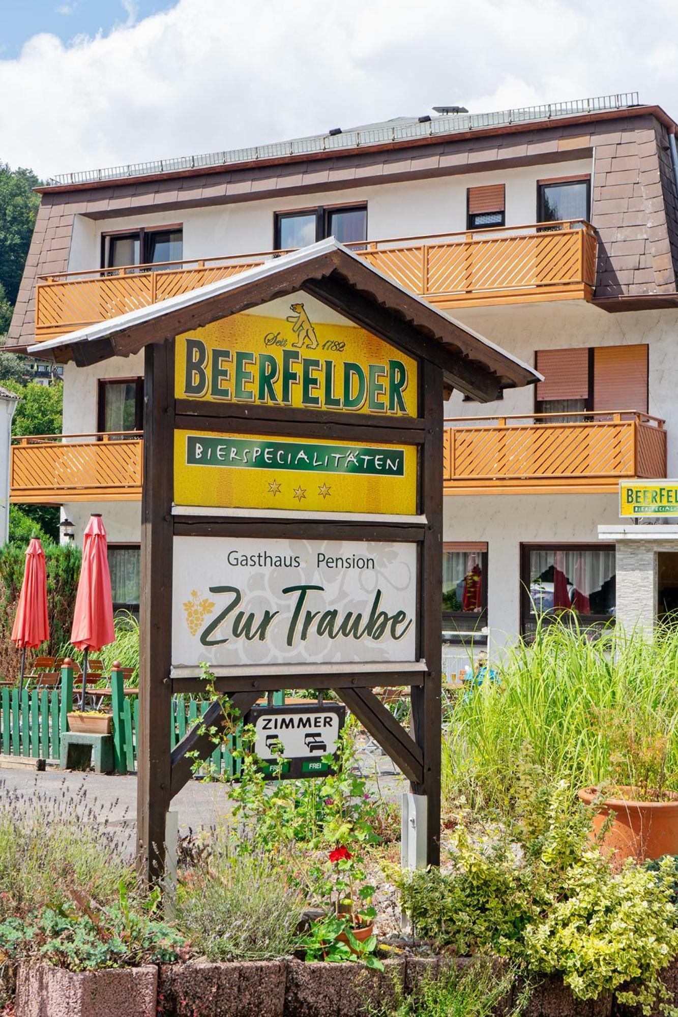 Gasthof Zur Traube Finkenbach Esterno foto